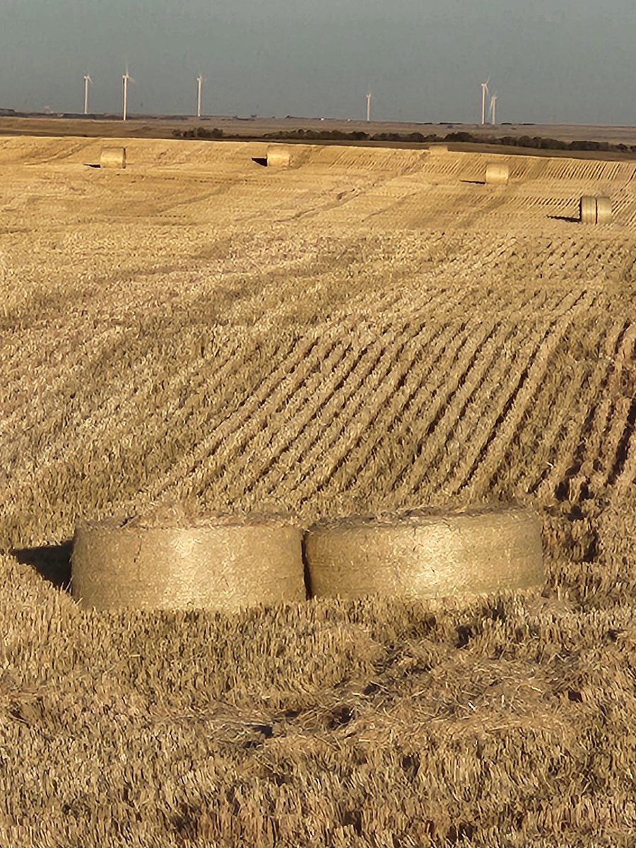 SilverSmithFarm's tweet photo. Hey @RobSomerville1 can you please explain these odd sized bales in your field. Looks like one bale sliced in half.  Aliens? New baler prototype? Elon Musk lasers?  All the neighbors want to know! https://t.co/WCk6kkNXFT