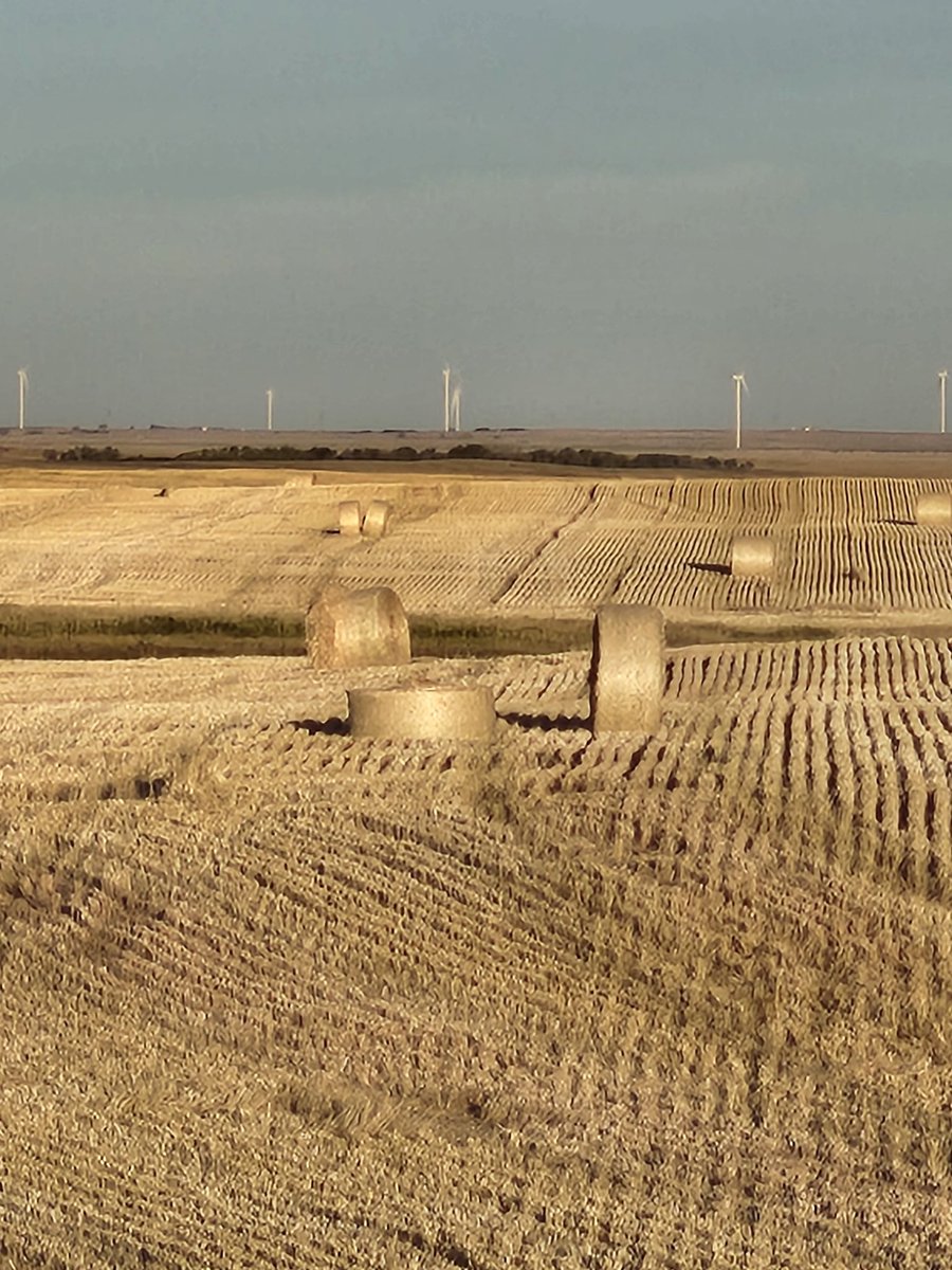 SilverSmithFarm's tweet photo. Hey @RobSomerville1 can you please explain these odd sized bales in your field. Looks like one bale sliced in half.  Aliens? New baler prototype? Elon Musk lasers?  All the neighbors want to know! https://t.co/WCk6kkNXFT