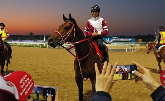 blindadosalas1's tweet image. #Hipismo ¡LO QUE SE VIENE! El próximo miércoles reaparece en #Funabashi  FOREVER YOUNG 🇯🇵 Buscará hacer la tarea en los 1.800 Mts. del #NipponTVHai (Gr.2) para viajar nuevamente a #DelMar e intentar el soñado desquite en la #BreedersCupClassic Sí, con RYUSEI SAKAI en la silla 🙄