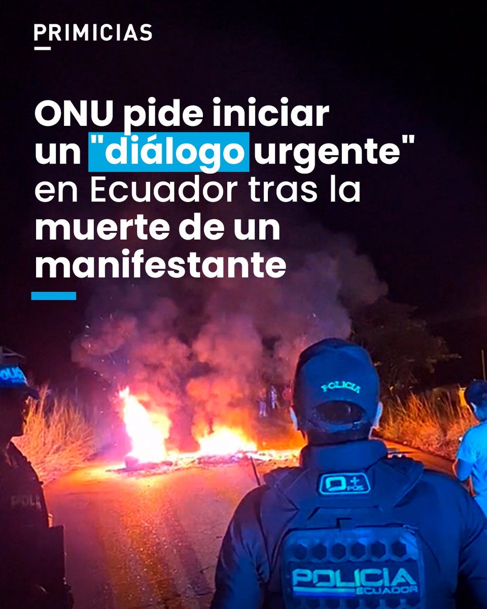"Las fuerzas militares no son entrenadas para enfrentar situaciones de conflictividad social o seguridad pública", señala representante del Alto Comisionado de las Naciones Unidas para los Derechos Humanos en América del Sur. prim.ec/sirH50X44Ch