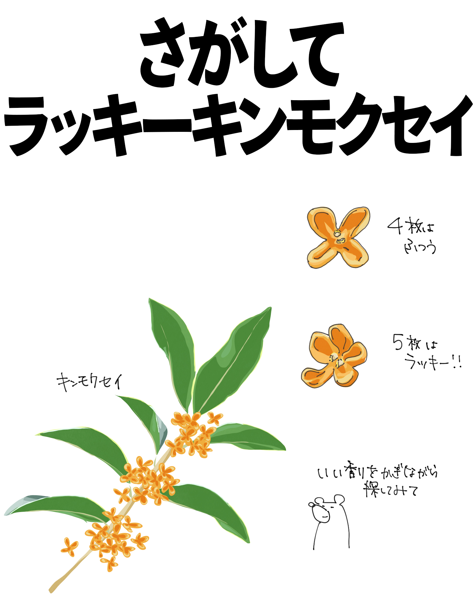 くうちゃん様用•*¨*•.¸♬︎ くぅさん専用 くぅ☆* Official ZX - YouTube