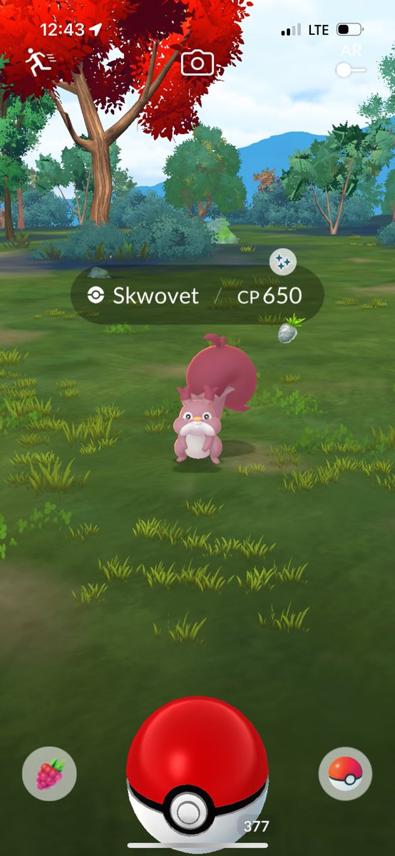 first time opening this app in almost 8 months and the game gave me this lil nugget 😩 tiny and shiny 🗣️