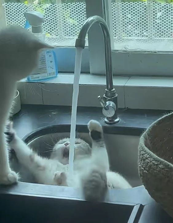 TURN IT OFF!!!