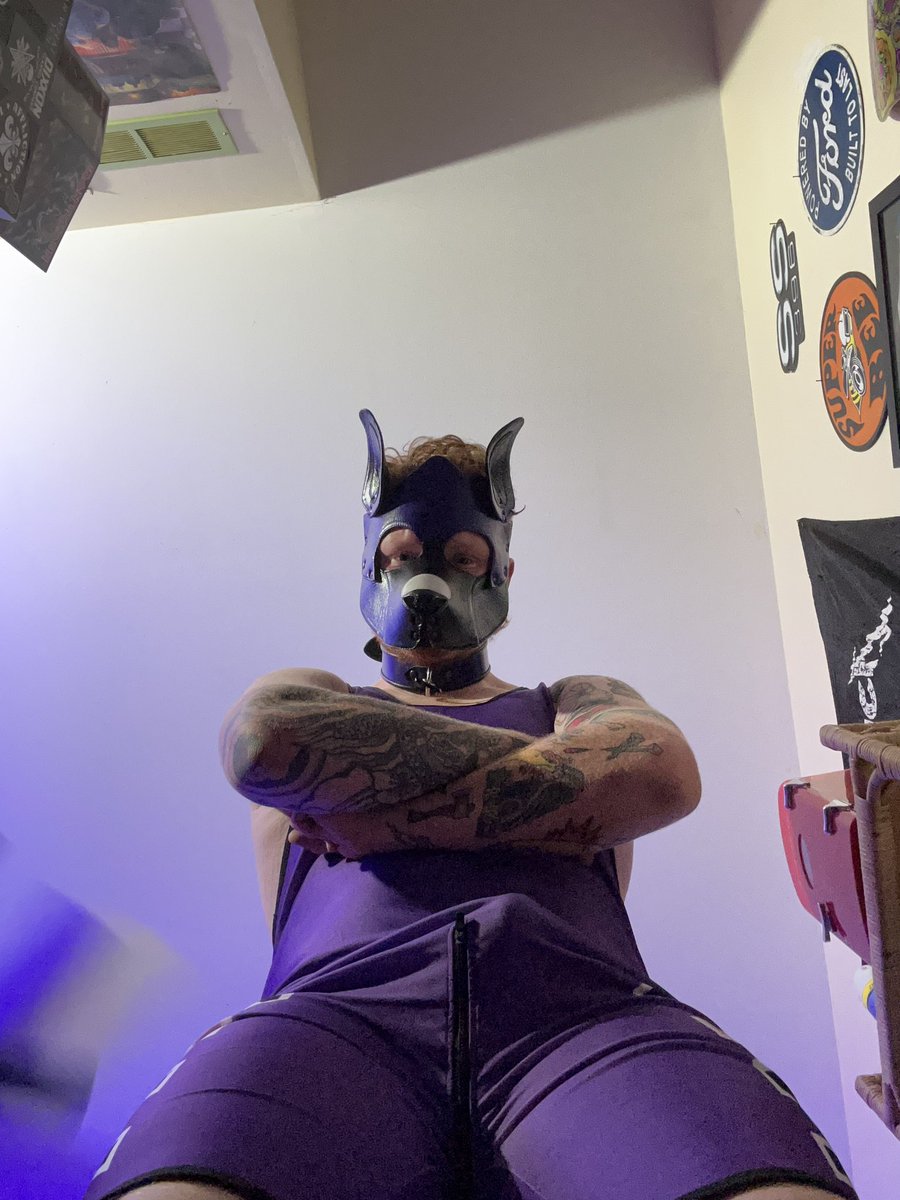 Pup_Vanquish's tweet photo. Puppy’s feeling needy… https://t.co/5zdjtJ7aWI