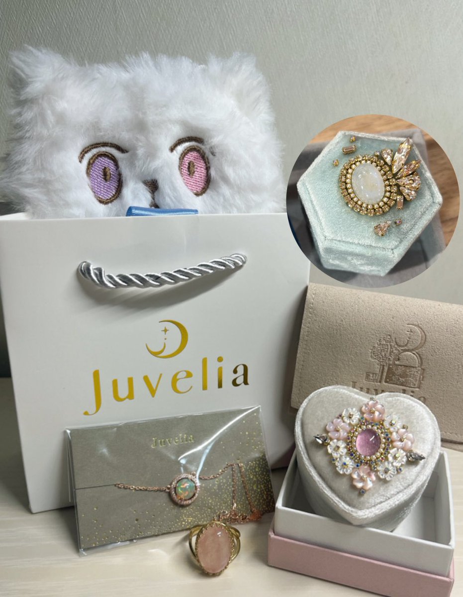 【最終値下げ】ジュベリア　Juvelia ジュエリーボックス box - Juvelia