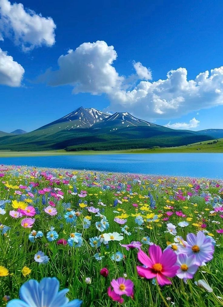 tosmooth55's tweet image. Shared a few images to bring some peace amid all the chaos 🕊️
If you like them, show some ❤️ and retweet 🙏

#PeaceOfMind #CalmVibes #PositiveEnergy #Mindfulness