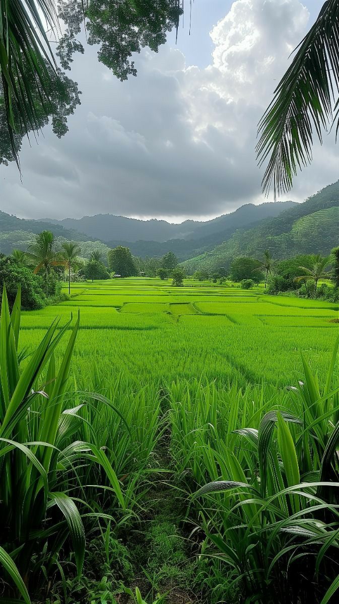 tosmooth55's tweet image. Shared a few images to bring some peace amid all the chaos 🕊️
If you like them, show some ❤️ and retweet 🙏

#PeaceOfMind #CalmVibes #PositiveEnergy #Mindfulness