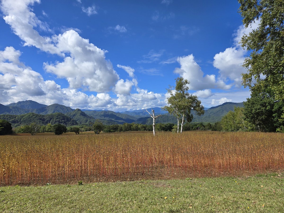 南会津町観光物産協会 tweet media