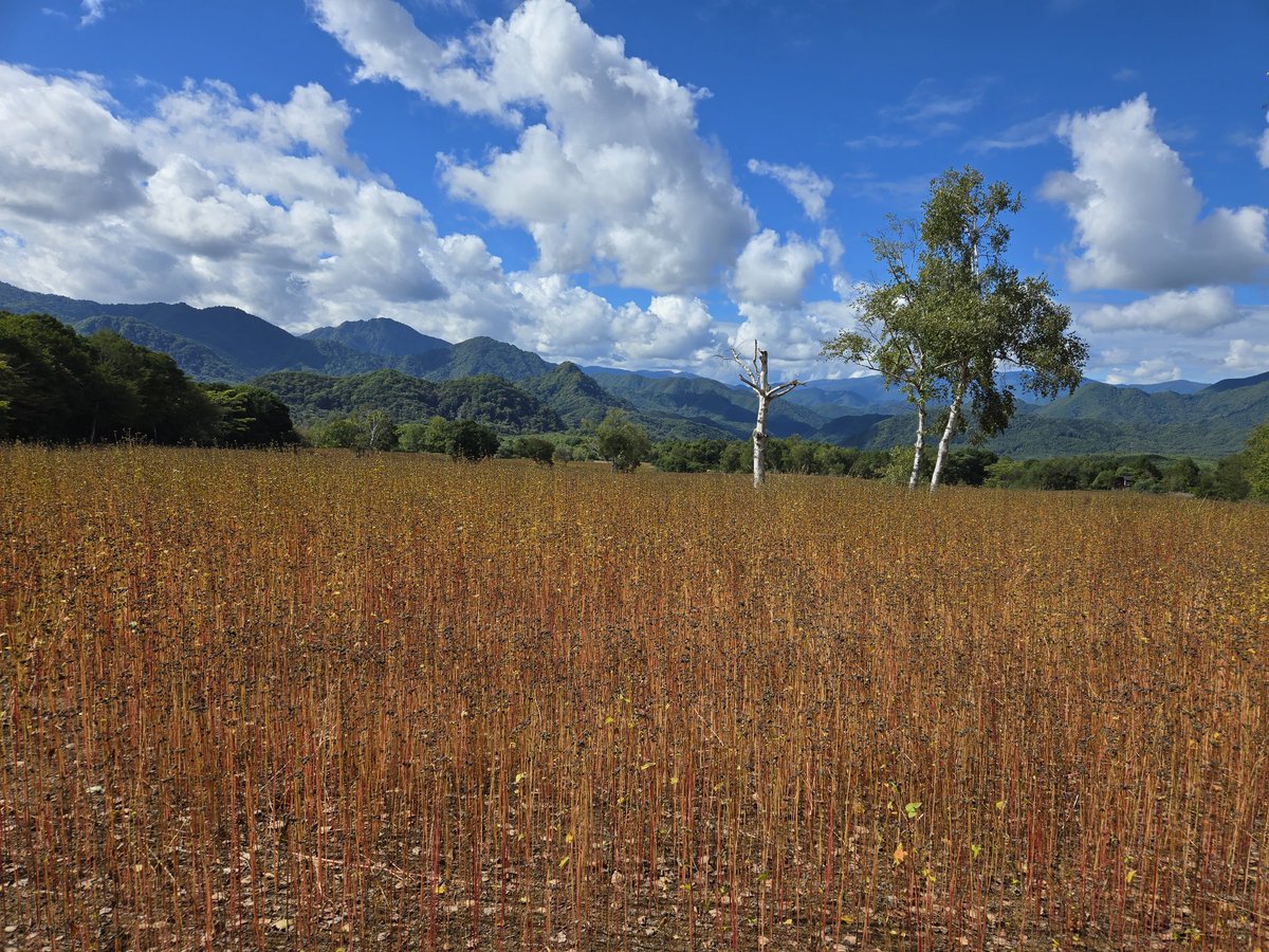 南会津町観光物産協会 tweet media