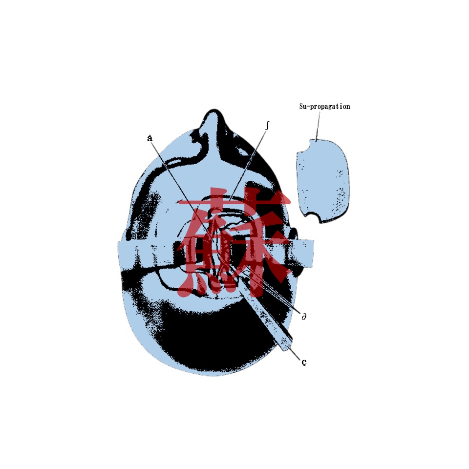 Su-propagation tweet media