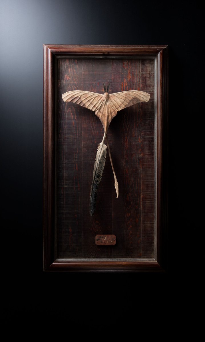 大森暁生 D.B.Factory (@akio_ohmori) / Posts / X