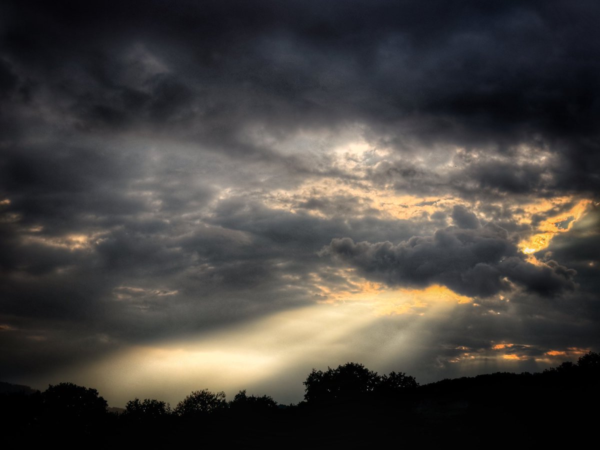 nihilisolipsism's tweet image. It smells like heaven,
like a glimpse of hope,
the last straw,
you grabbing, 
to not lose it all.
The tears on your cheek,
this trails of bravery,
they died long ago.
It smells like god,
but you know,
there is nothing 
left at all;

#art #prosa #poetry #heaven #philosophy #photo