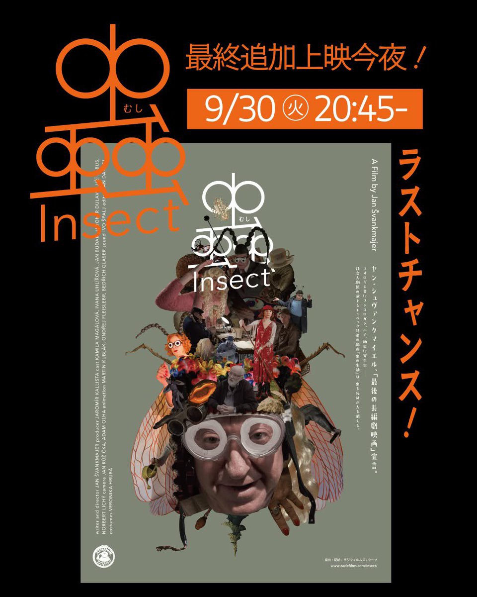 ヤン・シュヴァンクマイエル　蟲　HMYZ INSECT DVD ヤン・シュヴァンクマイエル 蟲 HMYZ INSECT DVD ヤン・シュヴァンク