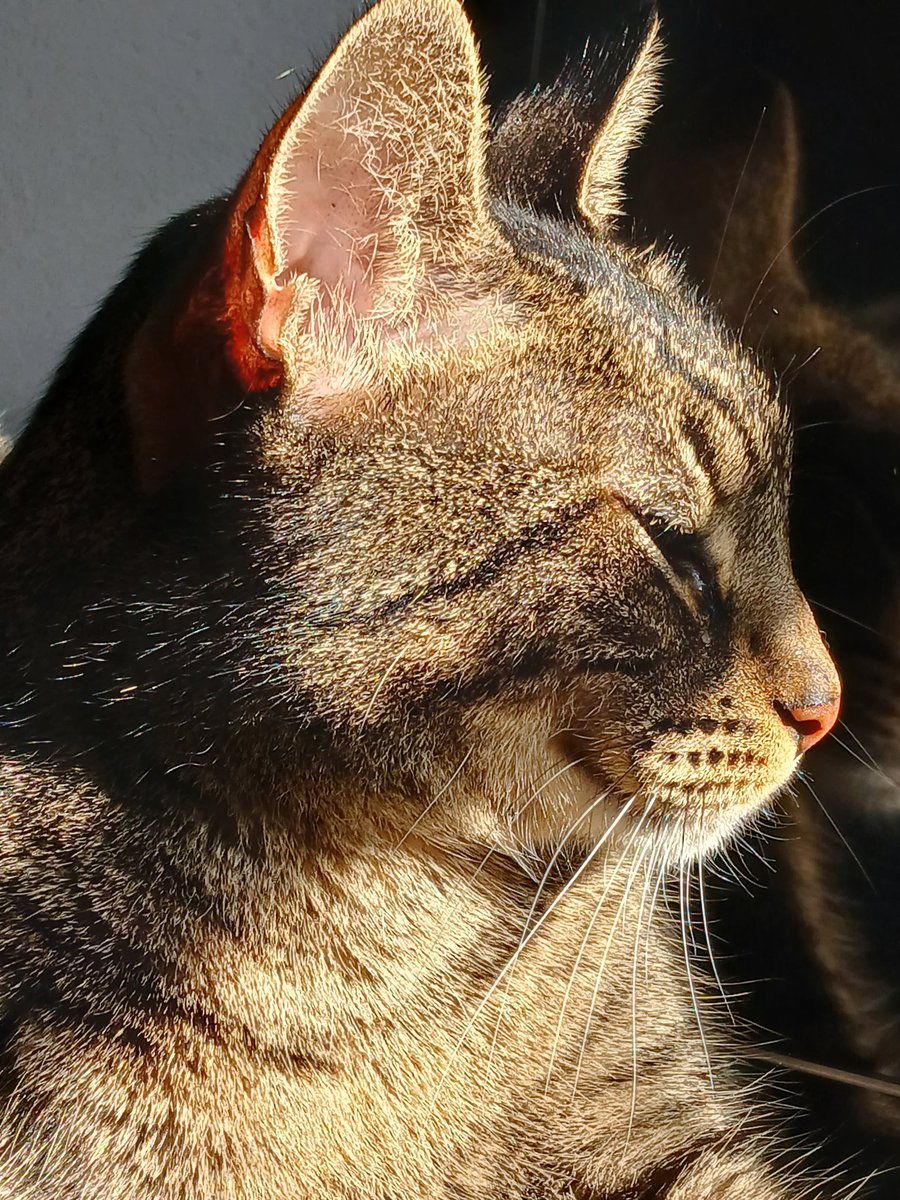 didnthinwrong's tweet image. Mi negrita 😭🤍