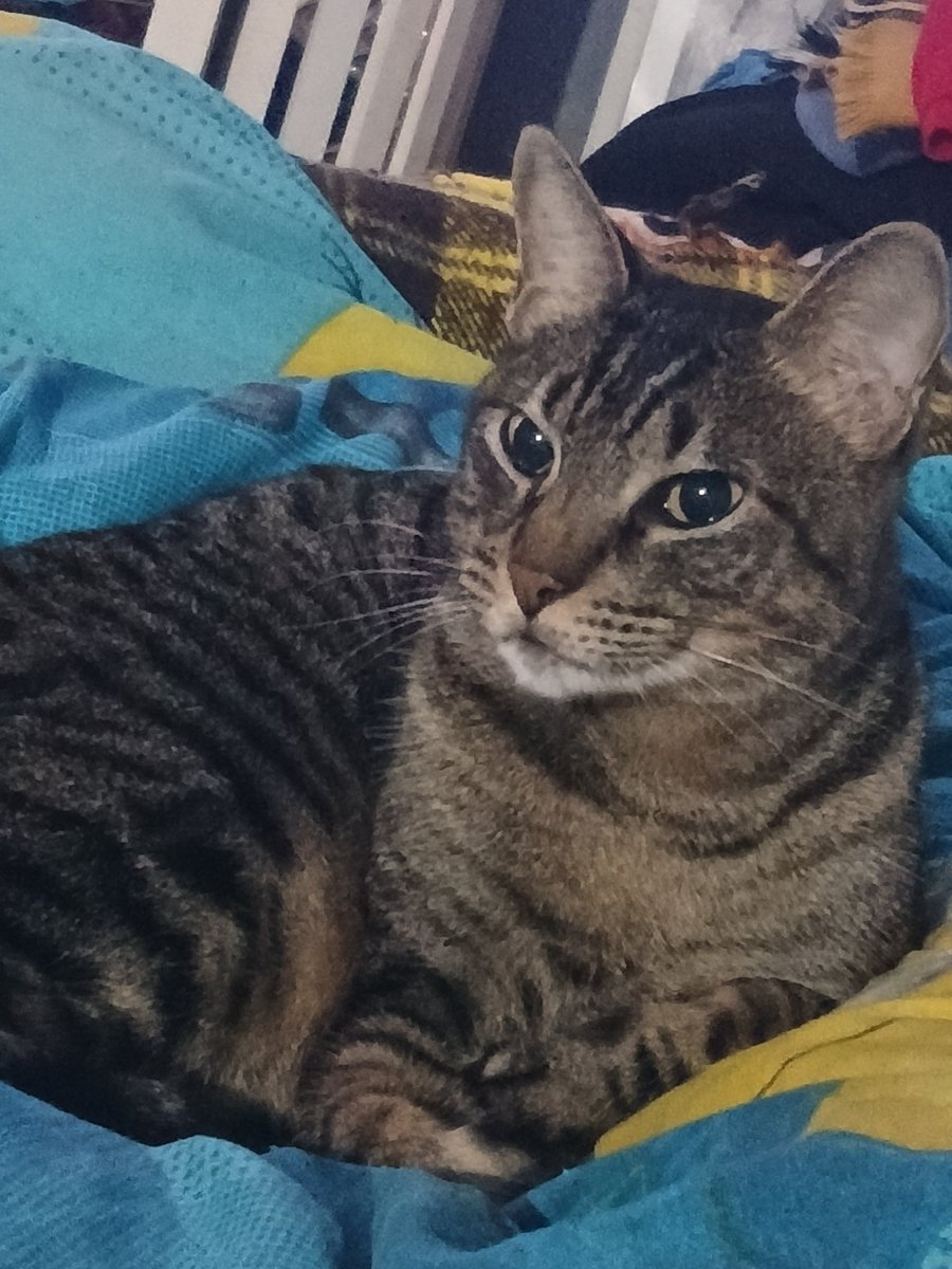 didnthinwrong's tweet image. Mi negrita 😭🤍