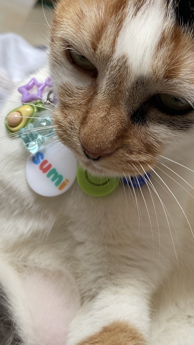 pagi2 dh pundunk sj kawan,,,