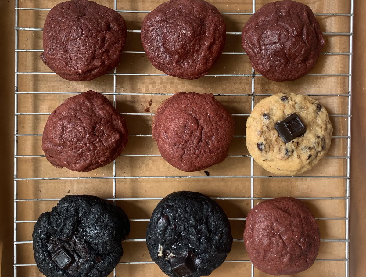 kucing ₍^. .^₎⟆ tweet media