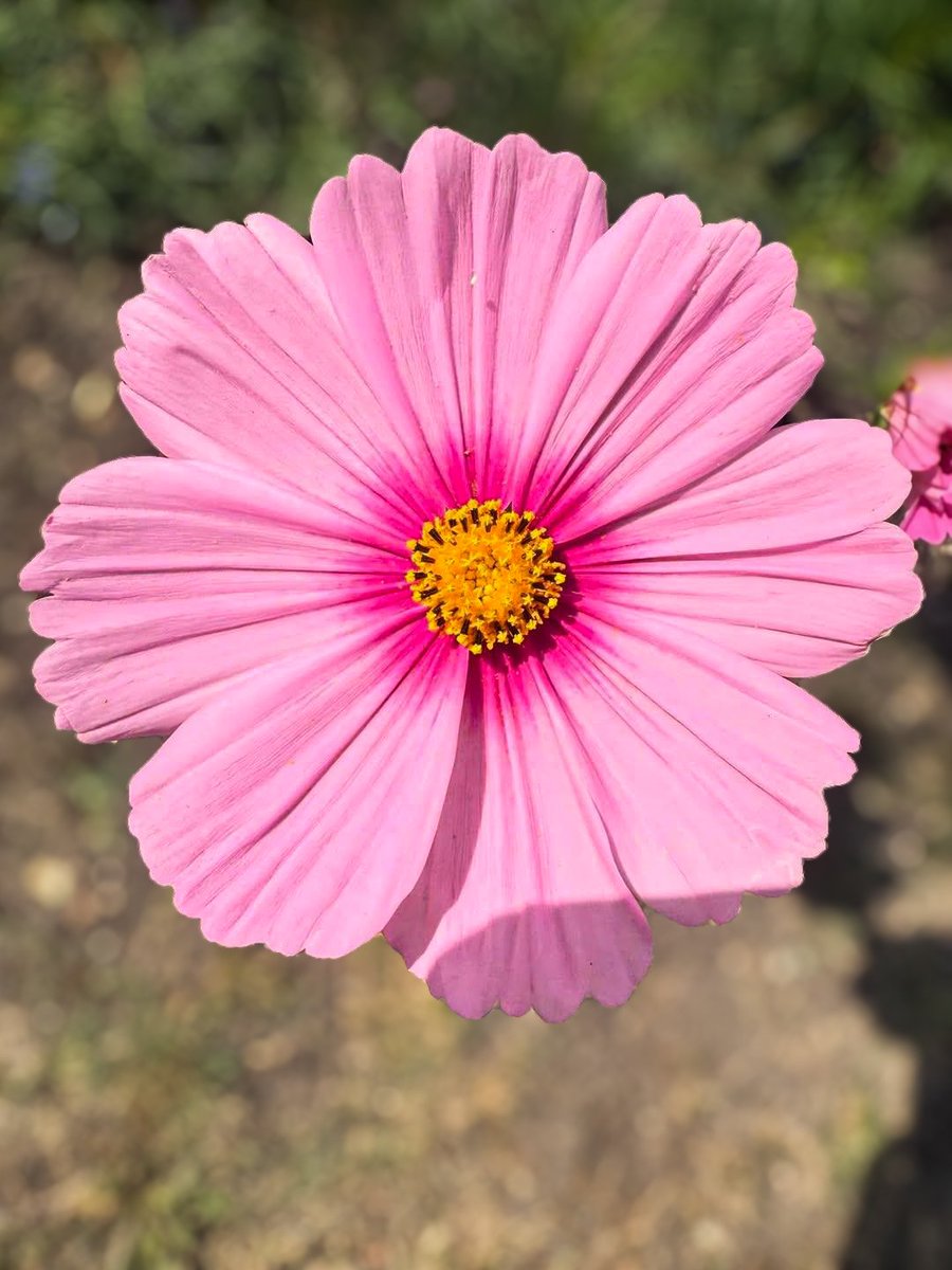 Atar Zhu (@atarzhu) on Twitter photo 