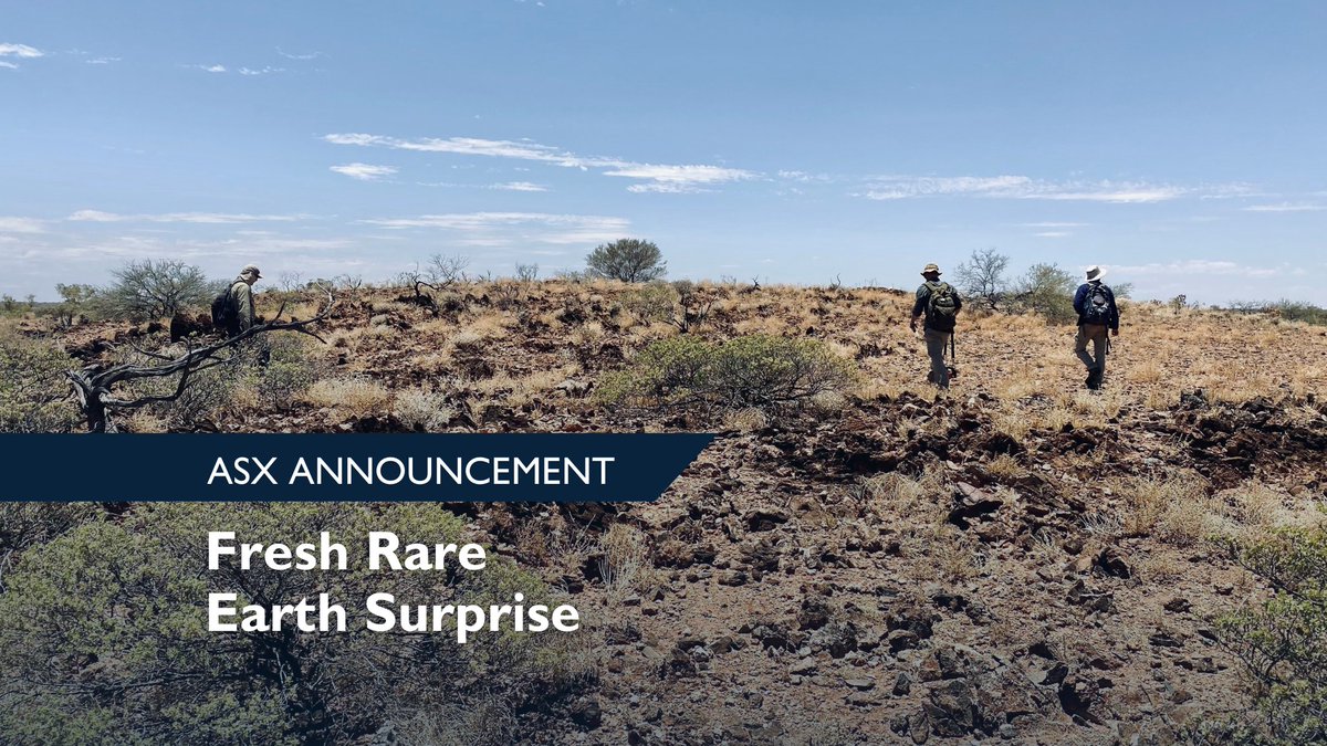 Drilling at Stinger has hit 140m @ 0.9% TREO (24% NdPr) - the first of its kind at Gifford Creek.

With similarities to the world-class Mountain Pass (US), this opens a whole new frontier at Mangaroon.

🔗 dreadnoughtresources.com.au/announcements/….

#RareEarths #CriticalMetals #Exploration #ASX