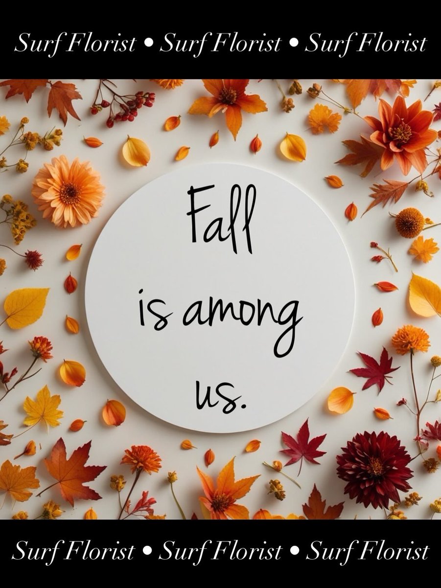 Surf_Florist's tweet photo. Fall is fast approaching 🍁 ✨ 
Come see the cozy colors of the season in every bouquet!

https://t.co/8Ow9xHVKAU https://t.co/FyFQfME1W4