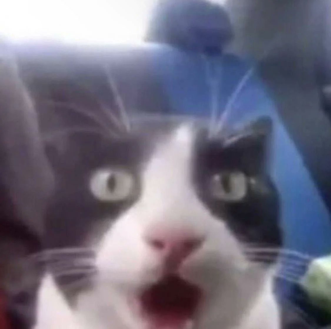 Albralelie tweet media