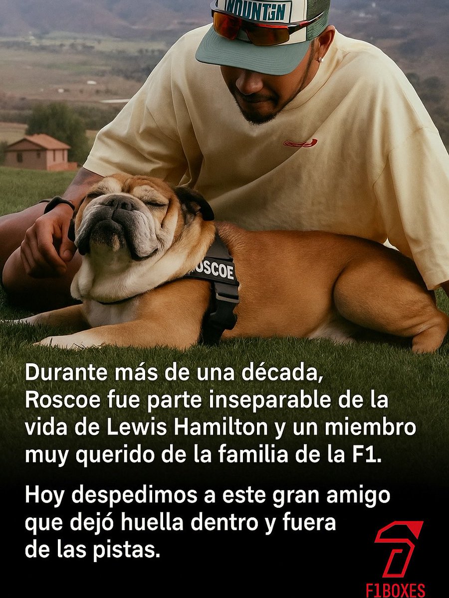 f1boxes1's tweet photo. Hoy nos despedimos de Roscoe, el fiel compañero de Lewis Hamilton durante más de una década.
Un bulldog que se ganó el cariño de los fans y dejó huella dentro y fuera de las pistas.

Descansa en paz, Roscoe 💔

#F1Boxes #Roscoe #LewisHamilton #F1Family https://t.co/5t5TxPZRXD