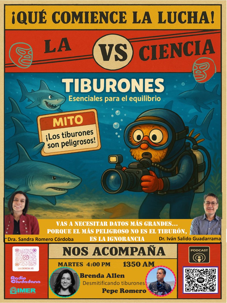 sandra_sandunga's tweet photo. ¿Los tiburones son peligrosos? Con @brenn_99 y @peperomero  de @VIExtincion descubrimos la verdad detrás de estos guardianes marinos
📻 1350AM https://t.co/bYcwbeHnbM
⏰ 4:00pm
¡Dale play!
Spotify https://t.co/ApC7PSXnLp
Apple https://t.co/OyGtMCKSRx
@SalidoIvan https://t.co/QdEl600vZU