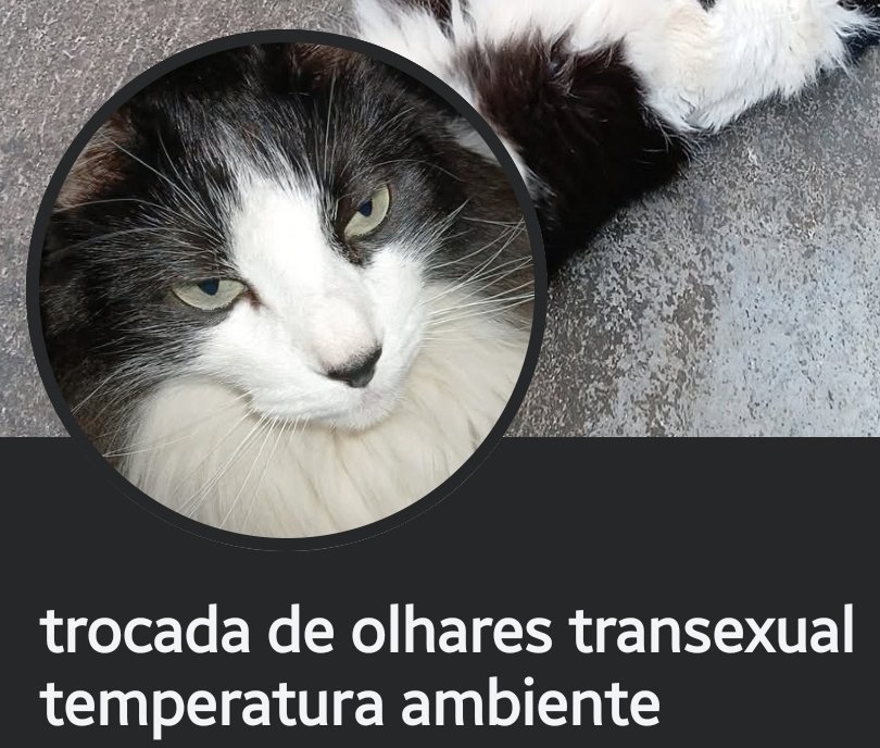 lu tristezas (㇏^.ˬˬ.^ノ) ⚧ (@luizamaionesa) on Twitter photo 