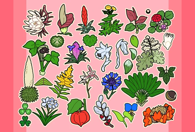 お花とか植物とかモンスターとかのイラストご依頼いつでもお待ちしてます!!!!!! #イラスト依頼受付中 #植物 #モンスター #花