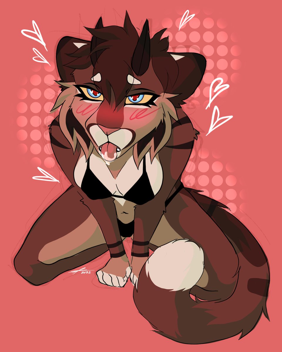 IttyBittyKitty 🔜 LVFC tweet media