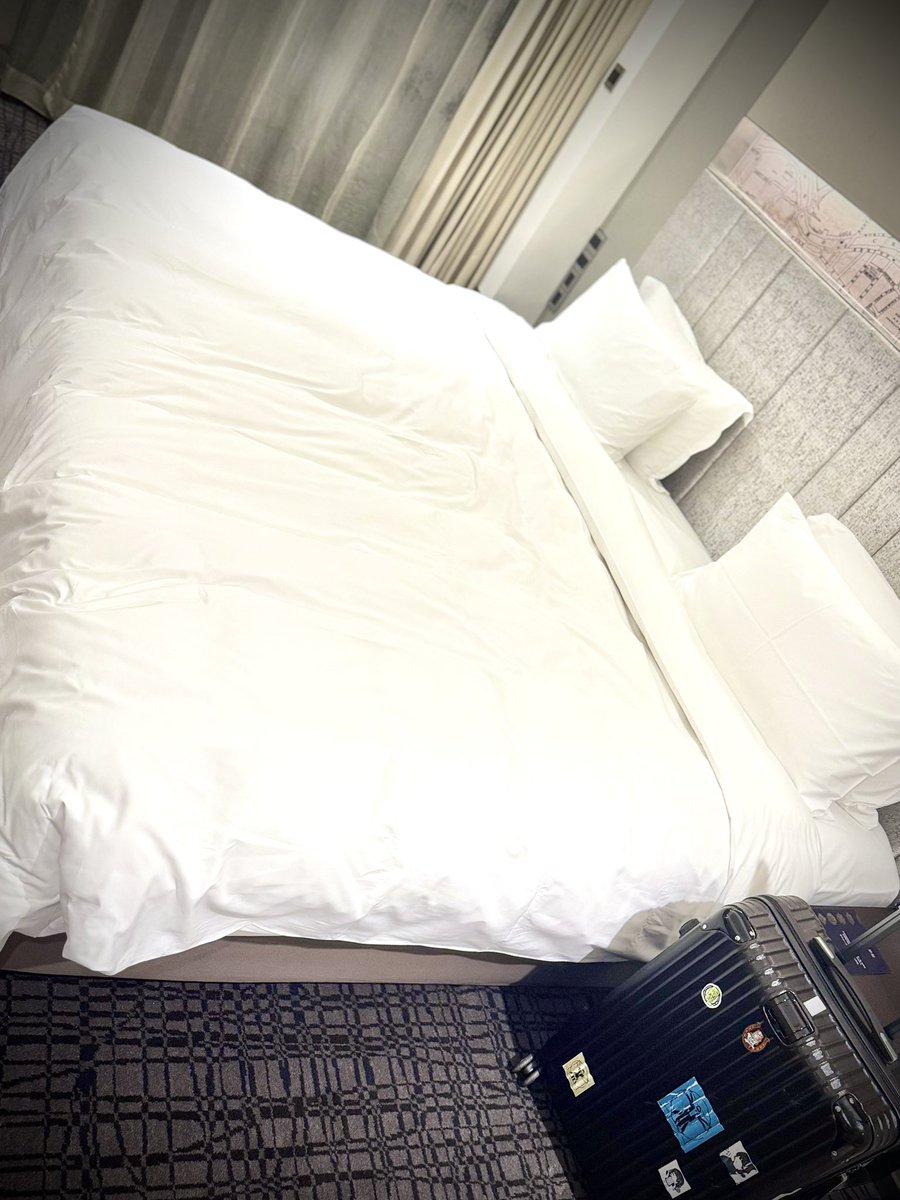 高所恐怖症にはつらいし、ベッドの縦横比にしっくりこないホテルでした😩