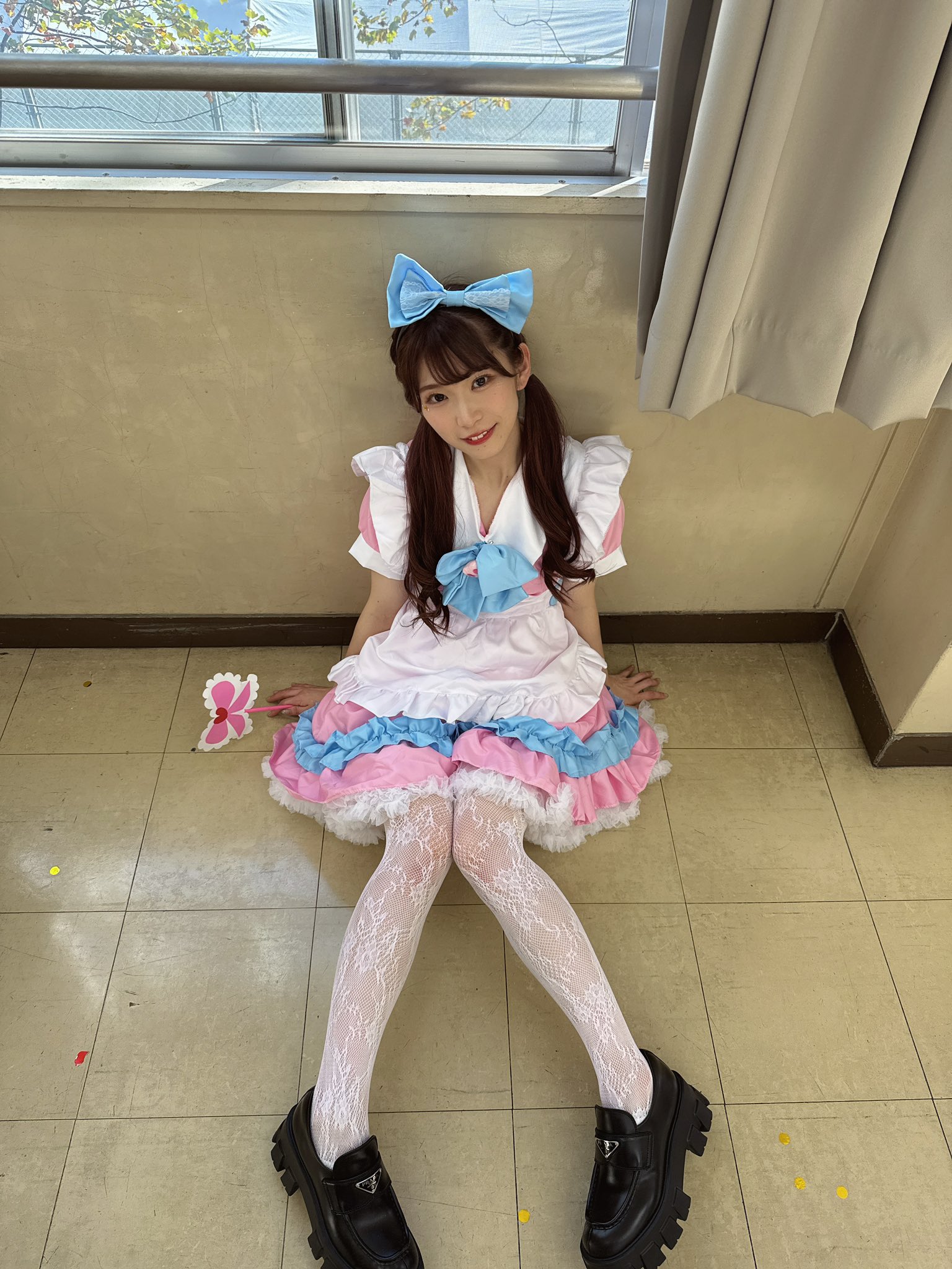 当選品 豆柴の大群 レオナエンパイア 直筆サイン入り チェキ MV衣装 レオナエンパイア (@LEONA_MAME96) / X