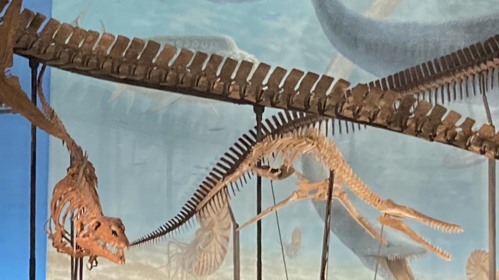 ジンベエー on X