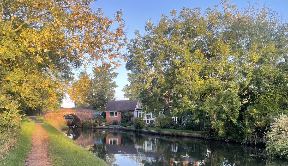 Rosemary Thompson tweet media