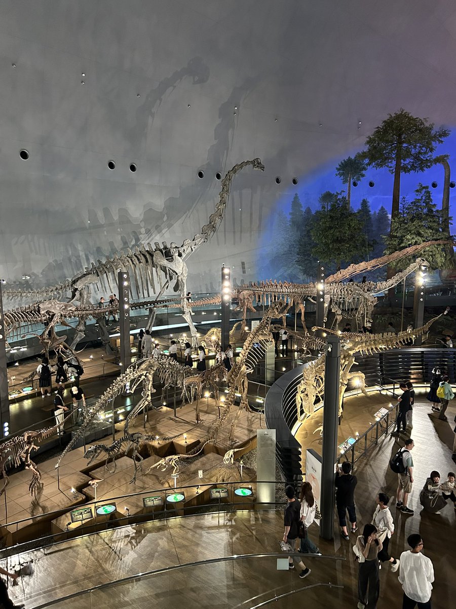 moca_1230's tweet photo. 恐竜博物館面白かったな〜🦖🦕 https://t.co/2oi8FSC4oe