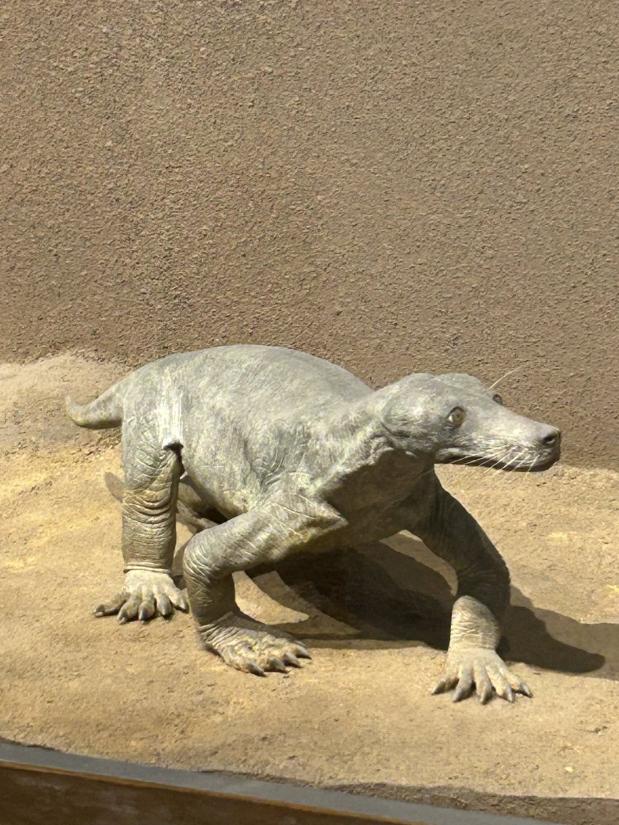 moca_1230's tweet photo. 恐竜博物館面白かったな〜🦖🦕 https://t.co/2oi8FSC4oe