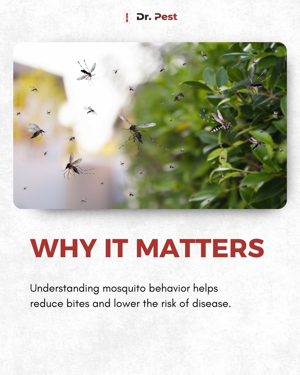 itsdoctorpest's tweet image. From spreading malaria to dengue fever, mosquitoes put families at risk daily. Learn how their bites happen and why prevention matters to reduce exposure.
Visit doctorpest.net – link in bio
#drpest #mosquitoes #pestsolutions #publichealth #stopthebite #mosquitofacts