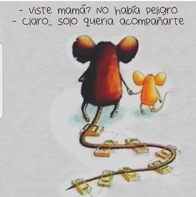 La Hija de Martha Stewart. tweet media