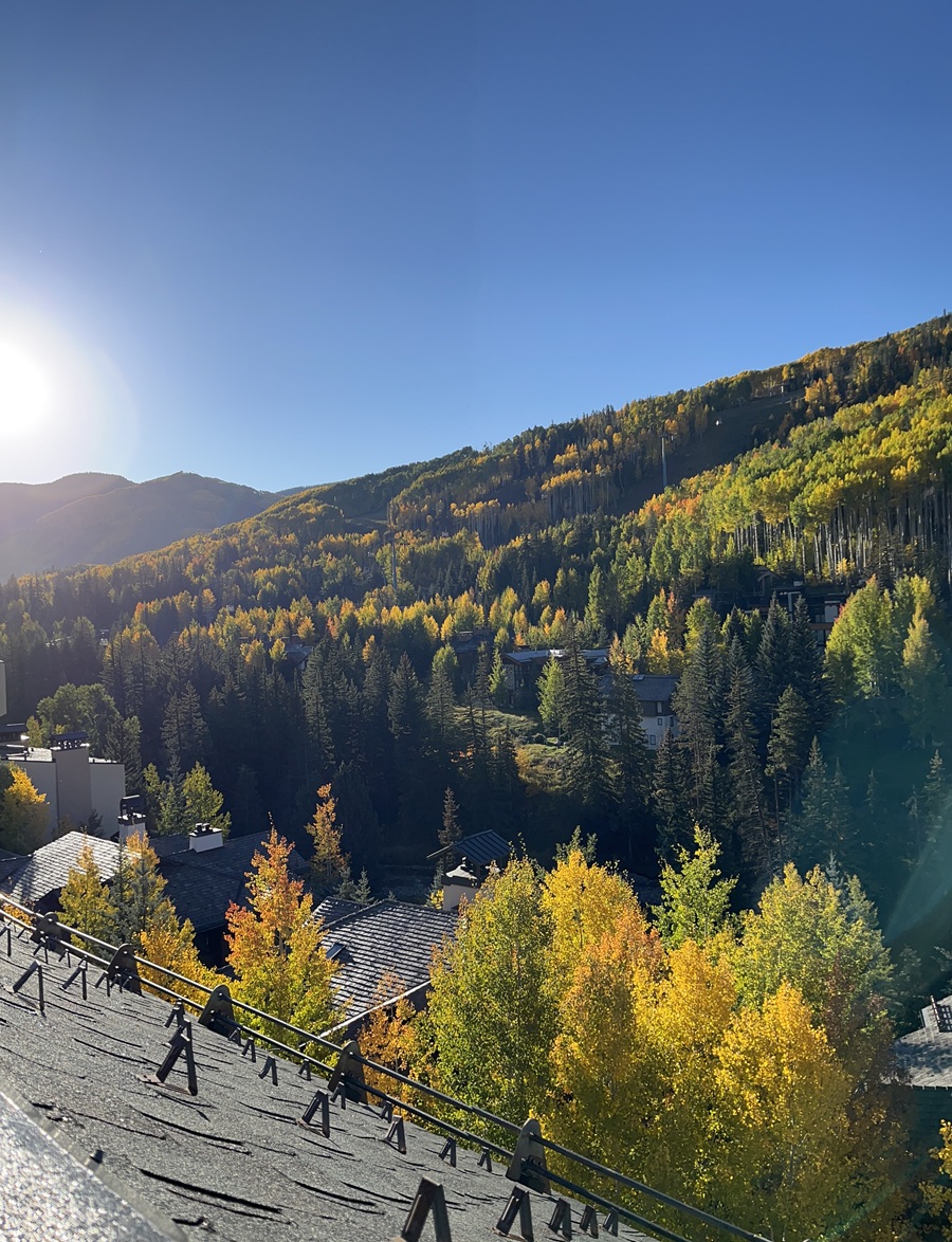 takingthekids's tweet image. Vail in Peak Foliage | Taking The Kids  takingthekids.com/web-stories/va… #falltrips