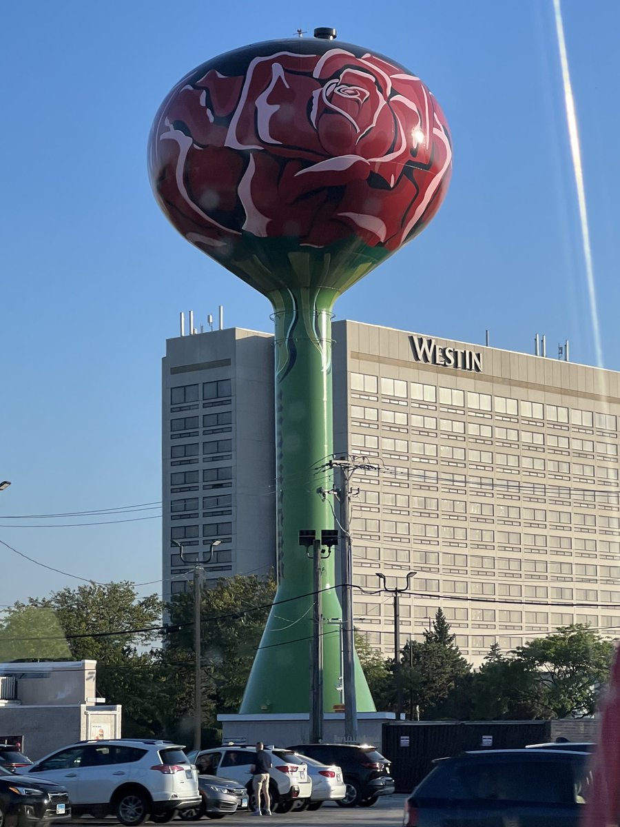 Jane Brice tweet media