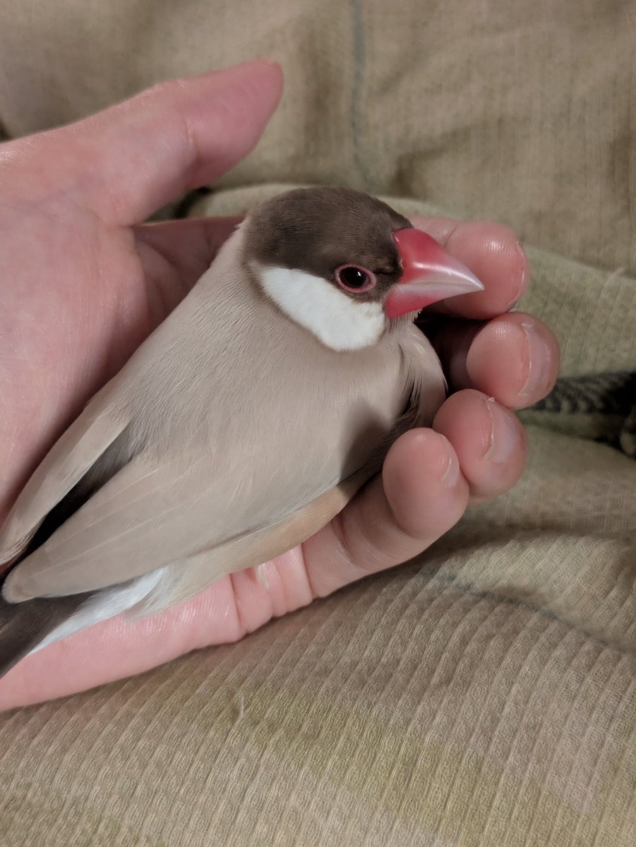 認定NPO法人TSUBASA -新施設クラファン達成しました！- tweet media