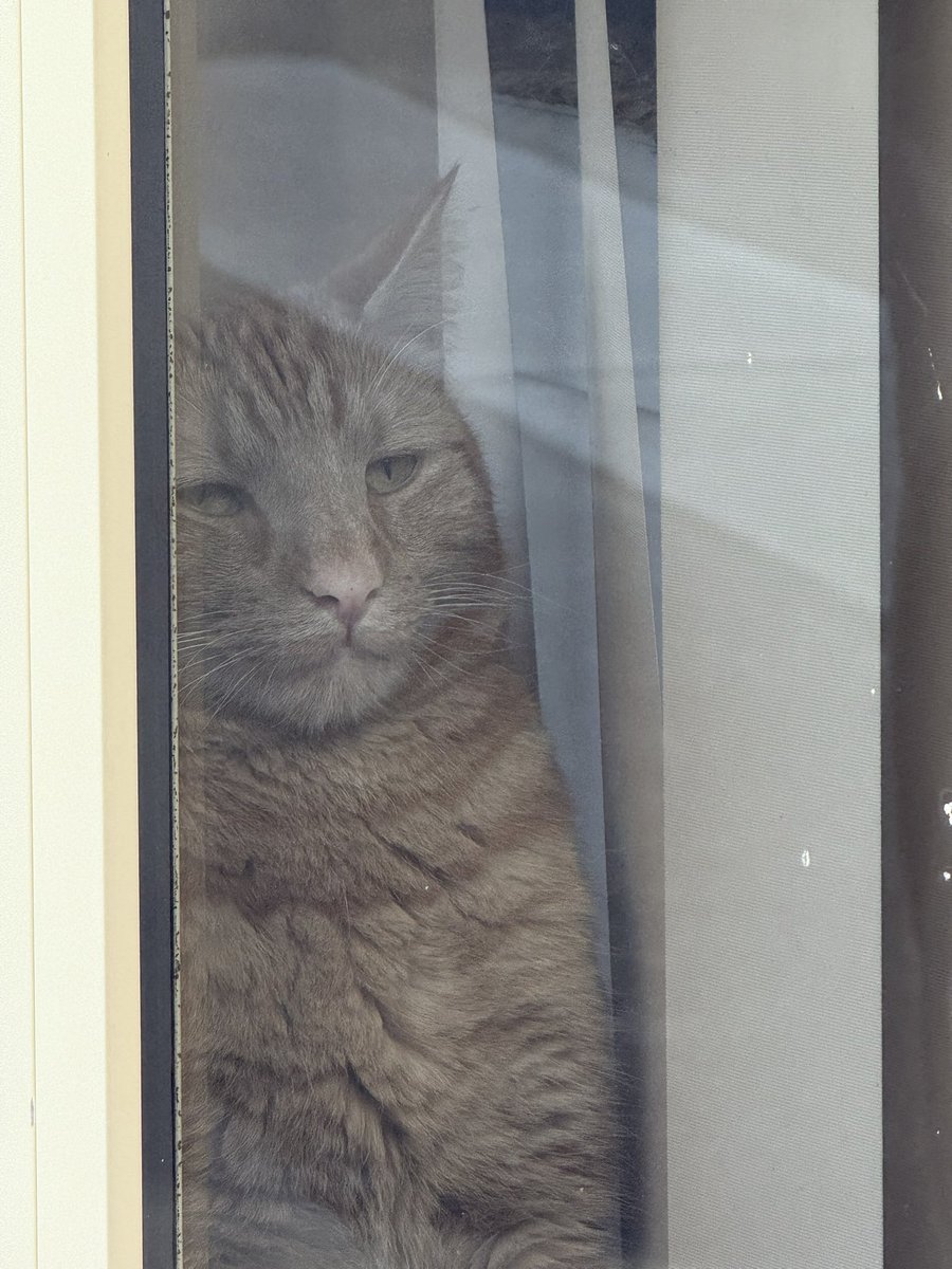 Narathen tweet media