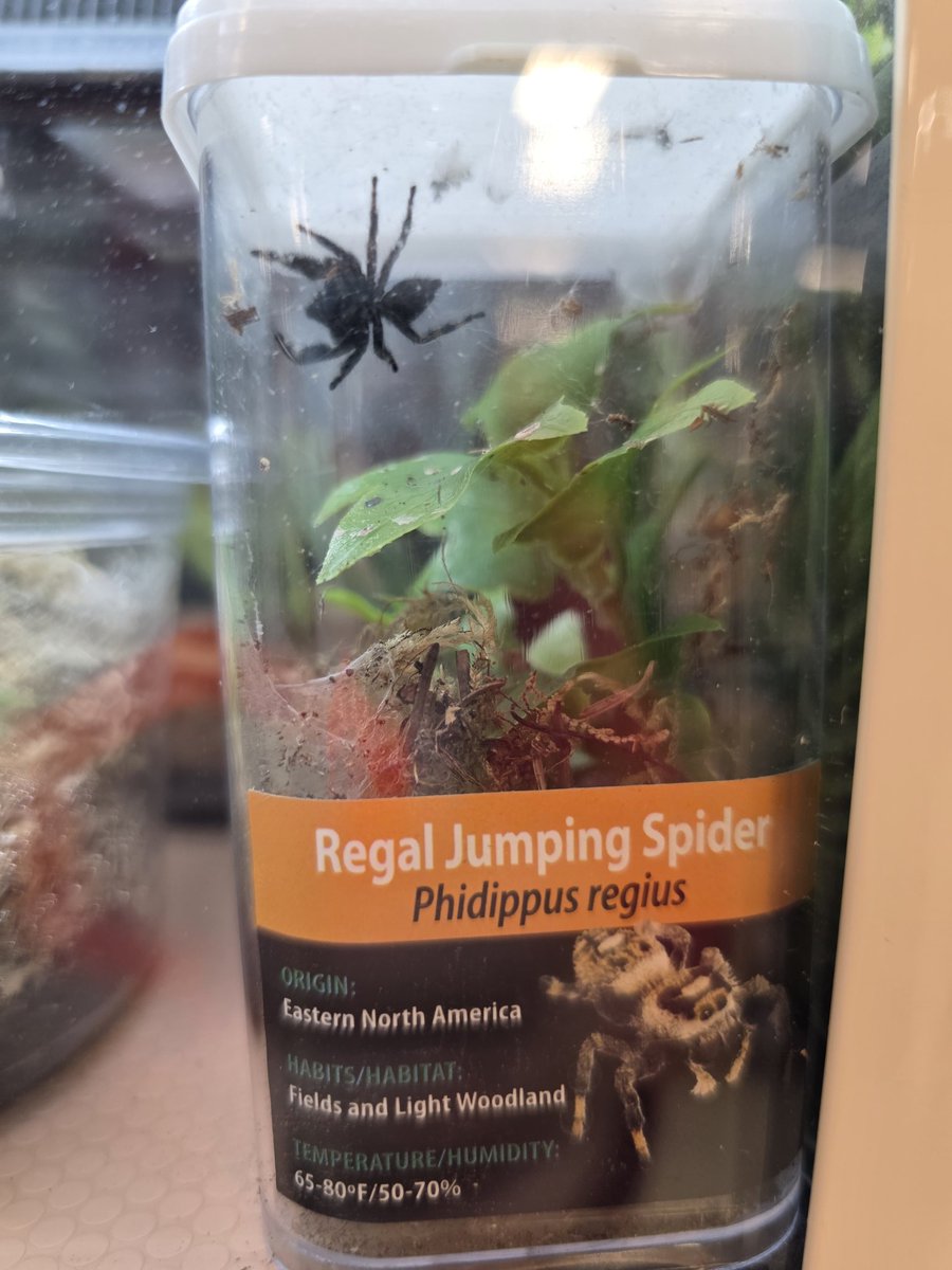 В зоомагазине был