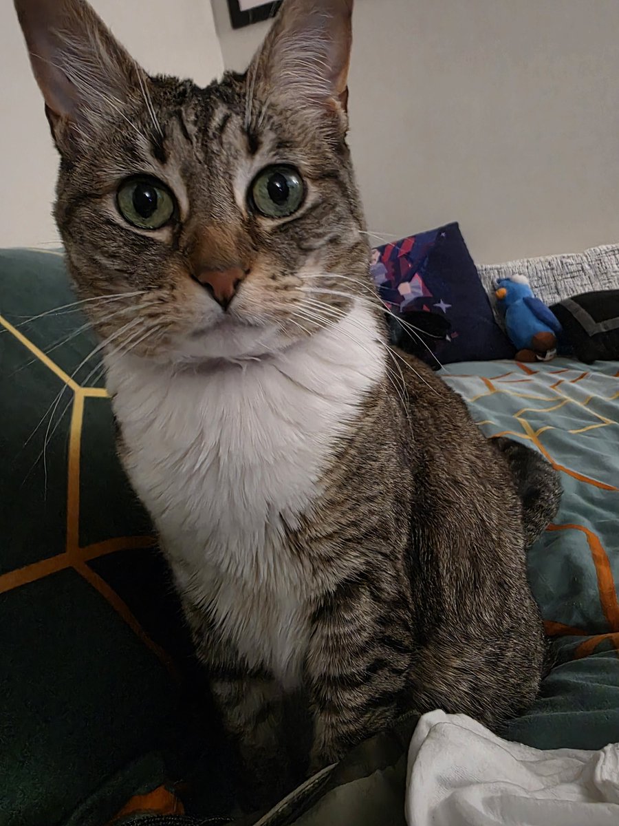 Bella has something to say:

"Hi"