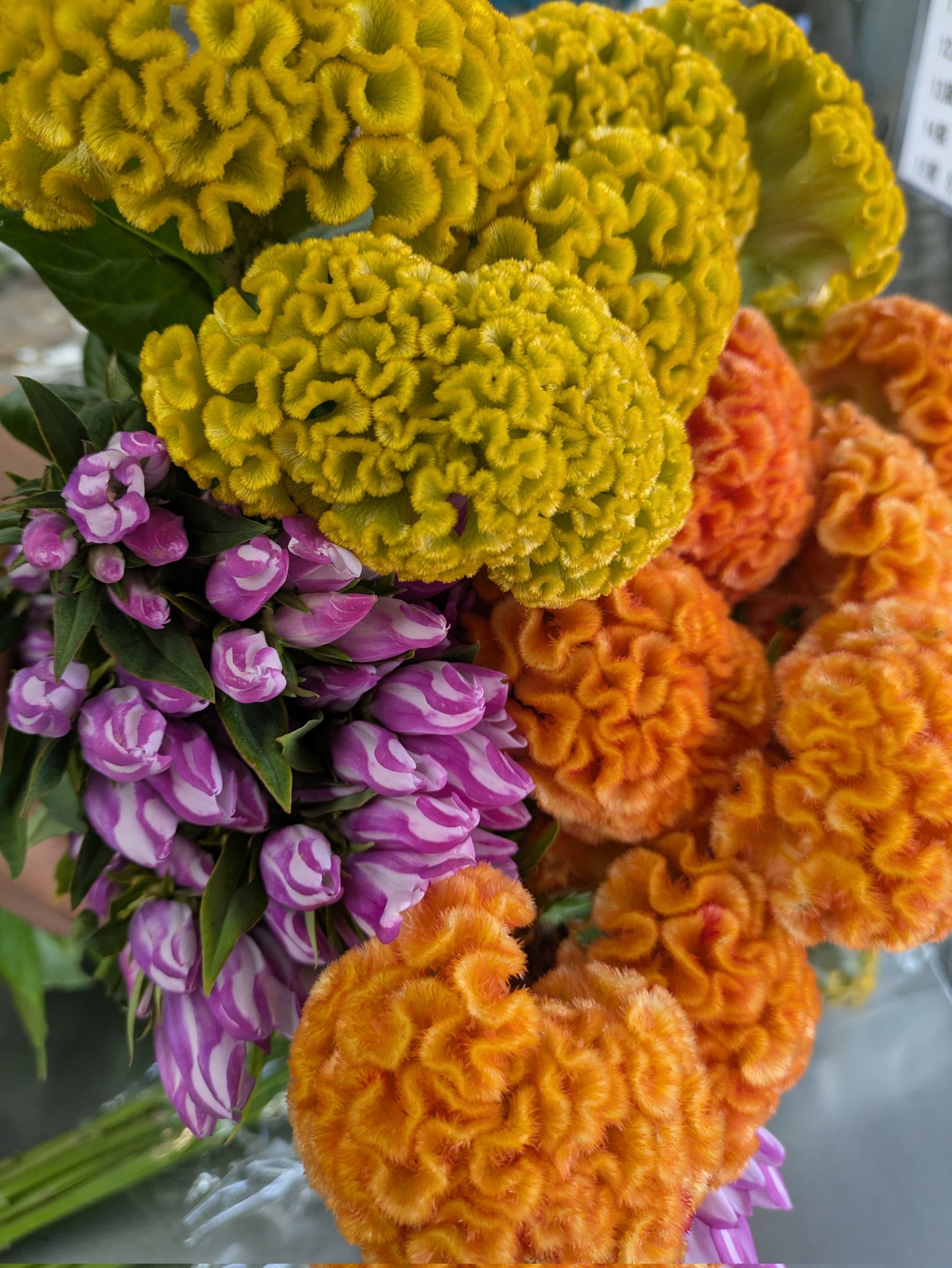 【断捨離中】花 🪷FlowerShop nakano 🪷中野生花店 di taichi matsuo ❲D's