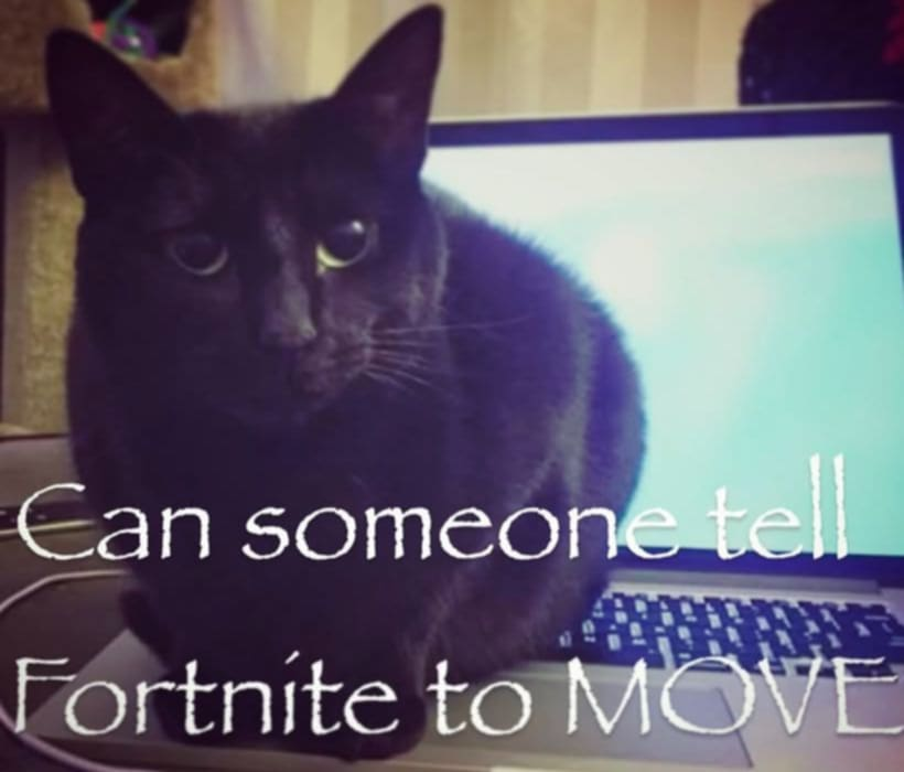 Jebraska tweet media