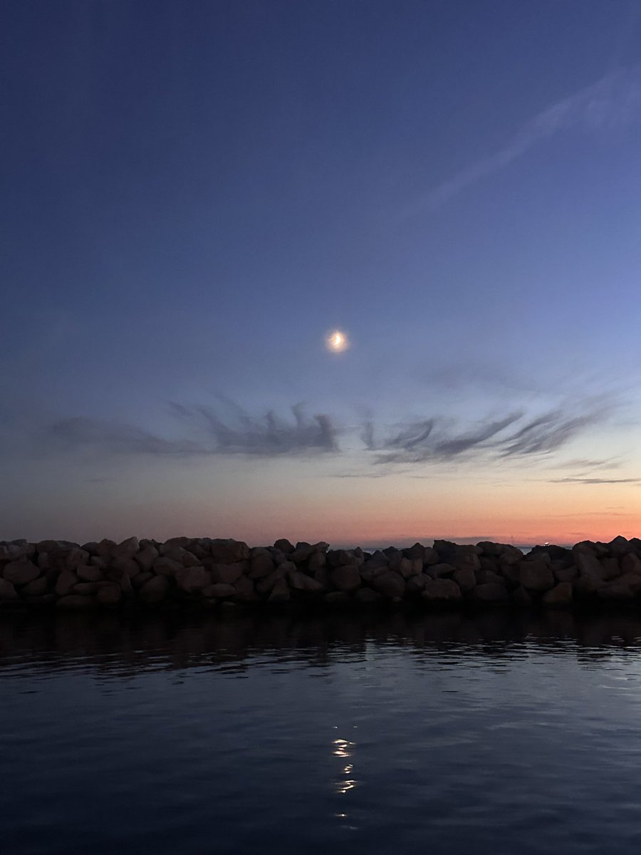 Dalila 🇲🇦🇮🇶 tweet media