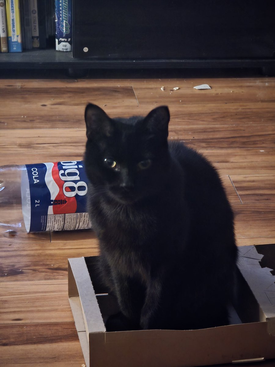 If she fits she sits