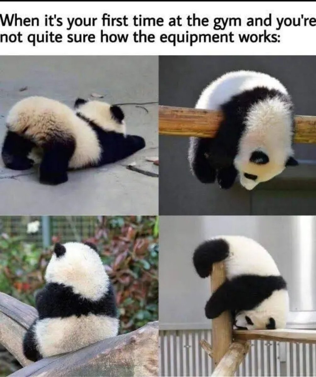 🐉💀 Sion Sweet 🚫 ICE tweet media