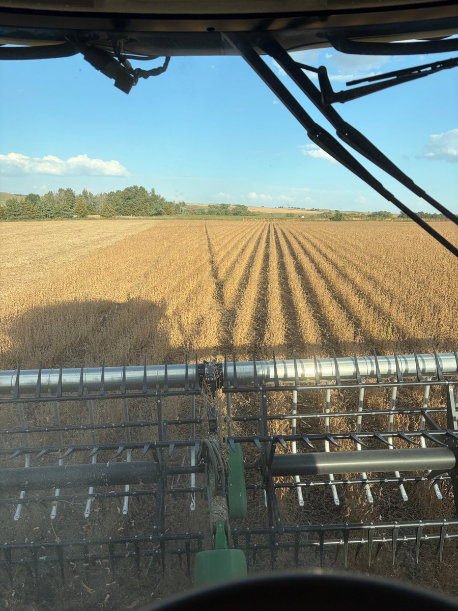 LounsberyFarms's tweet photo. Just combining some beans #pioneerseed https://t.co/0eal0xwAdo
